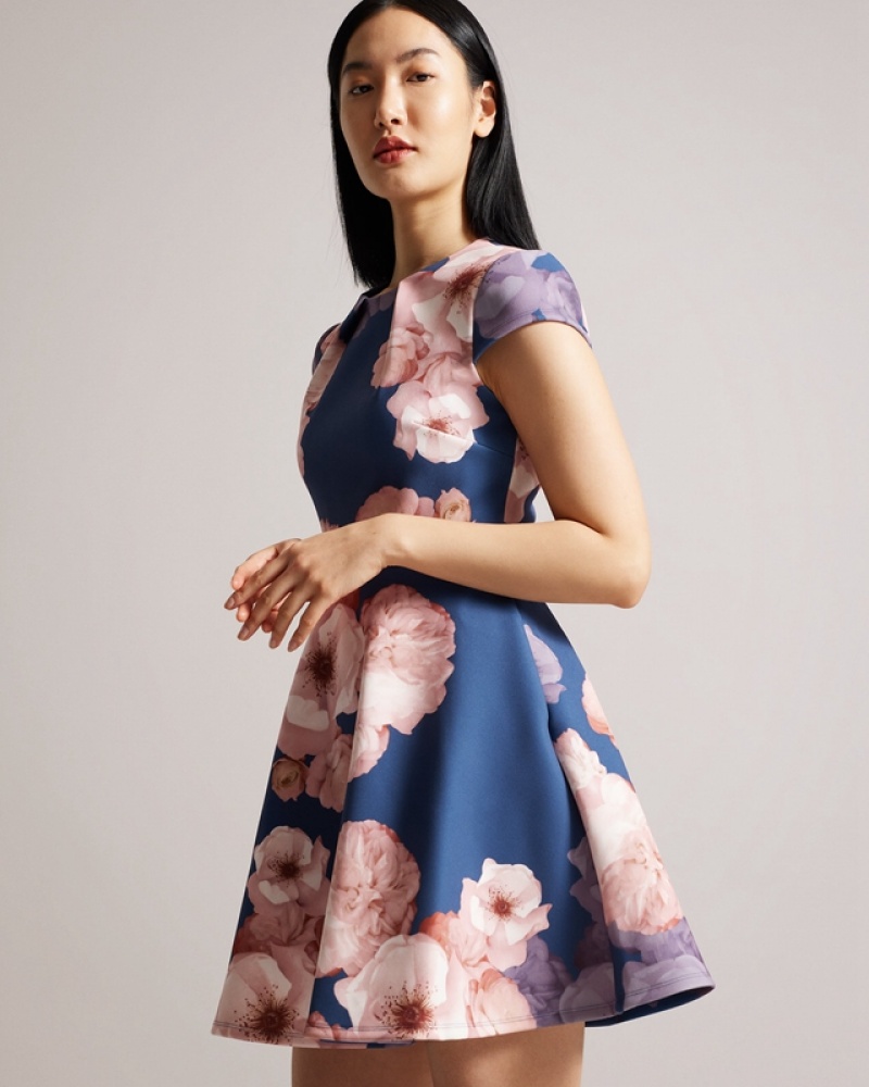 Ted Baker Trinia Printed Skater Women's Dress Blue | 372496-IMY